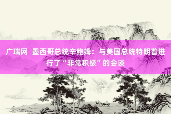 广瑞网  墨西哥总统辛鲍姆：与美国总统特朗普进行了“非常积极”的会谈