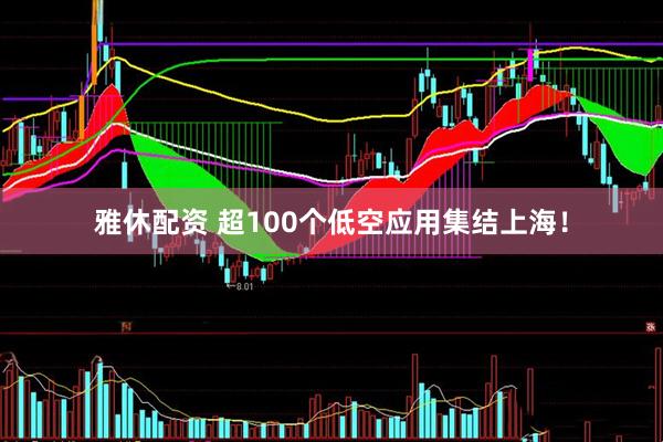 雅休配资 超100个低空应用集结上海！