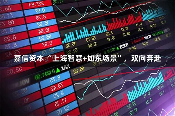 嘉信资本 “上海智慧+如东场景”，双向奔赴