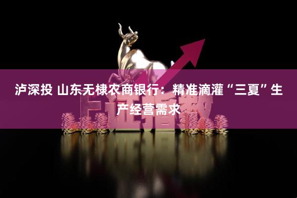 泸深投 山东无棣农商银行：精准滴灌“三夏”生产经营需求
